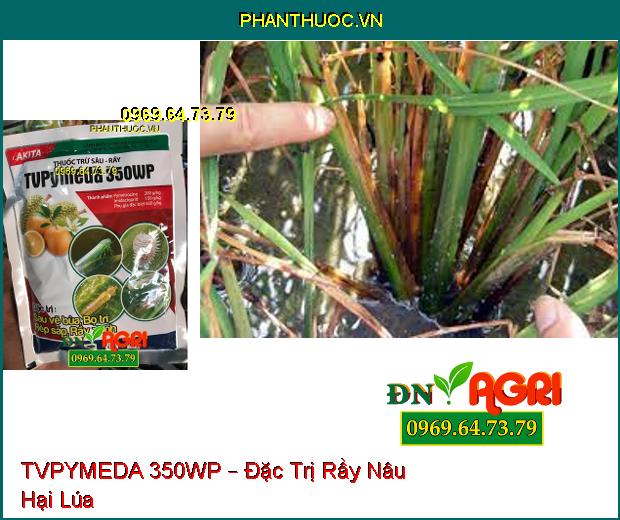 THUỐC TRỪ SÂU RẦY TVPYMEDA 350WP – Đặc Trị Rầy Nâu, Phòng Trừ Côn Trùng Chích Hút