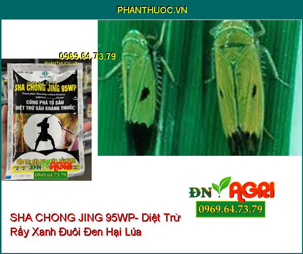 THUỐC TRỪ SÂU SHA CHONG JING 95WP- Diệt Trừ Sâu Kháng Thuốc, Rầy Xanh