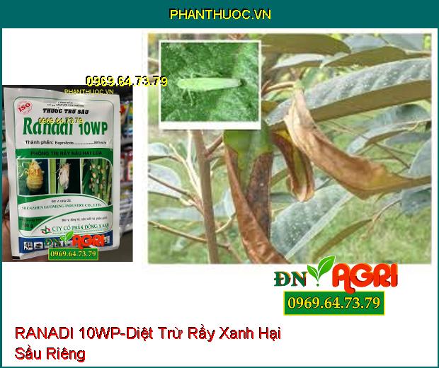 THUỐC TRỪ SÂU RANADI 10WP – Thuốc Trừ Sâu, Đặc Trị Rầy Nâu Hại Lúa