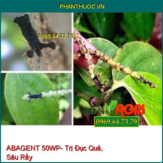 ABAGENT 50WP- Trị Đục Quả, Sâu Rầy