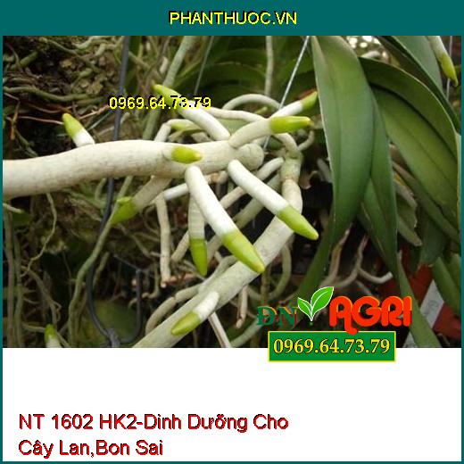 NT 1602 HK2- Cung Cấp Dinh Dưỡng Cho Cây Phong Lan, Bon Sai