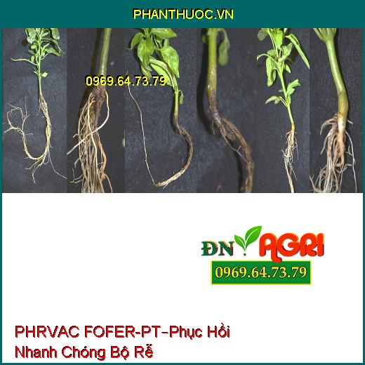 PHÂN BÓN LÁ RVAC FOFER-PT –Phục Hồi Nhanh Chóng Bộ Rễ, Mau Ra Rễ Non