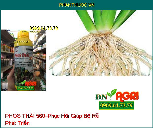 CHẾ PHẨM SINH HỌC–PHOS THÁI 560–Hồi Phục Cây Sau Khi Bị Ngộ Độc, Cứng Cây