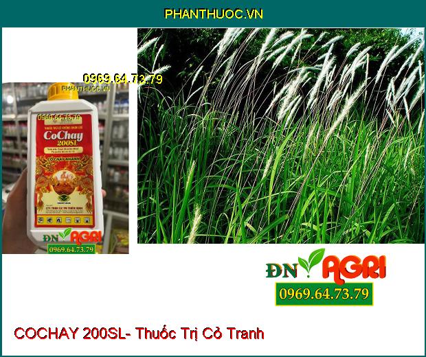 COCHAY 200SL- Thuốc Trị Cỏ Tranh, Lồng Vực, Mầm Trầu, Dền Gai, Rau Sam, Mắc Cỡ