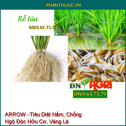 PHÂN BÓN LÁ HỖN HỢP ARROW –Tiêu Diệt Nấm, Chống Ngộ Độc Hữu Cơ, Vàng Lá