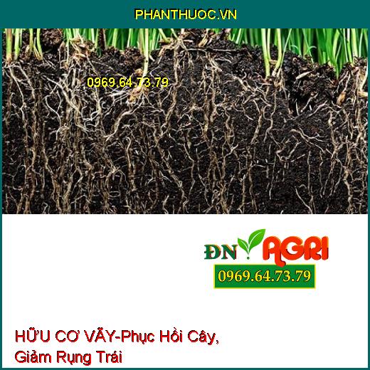 HỮU CƠ VÃY - Phục Hồi Cây, Giảm Rụng Trái, Giải Độc Hữu Cơ, Tăng Đậu Hoa