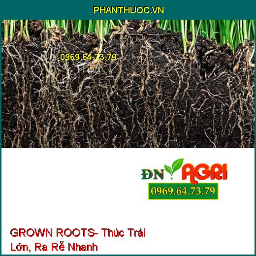 GROWN ROOTS- Thúc Trái Lớn, Ra Rễ Nhanh, Bung Đọt, Cải Tạo Đất