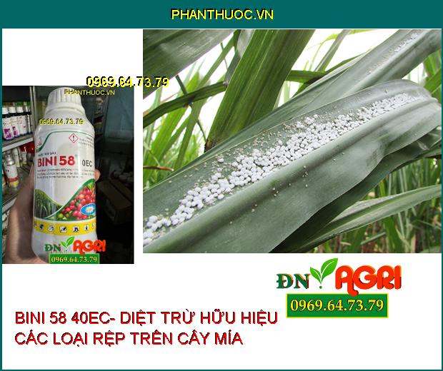 BINI 58 40EC- DIỆT TRỪ HỮU HIỆU CÁC LOẠI RỆP, RỆP MÍA ,RỆP CÀ PHÊ