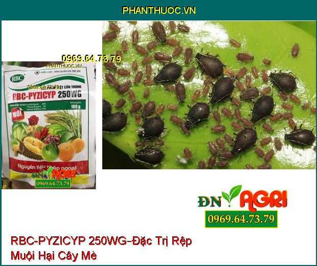 CHẾ PHẨM DIỆT CÔN TRÙNG RBC-PYZICYP 250WG –Đặc trị Các Loại Sâu, Các Loài Hút Chích