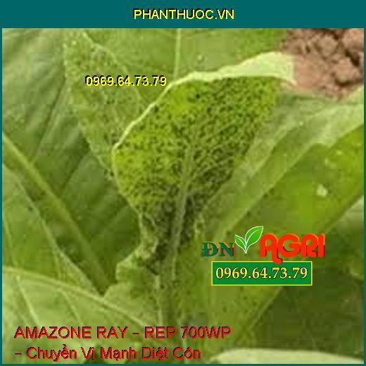 AMAZONE RAY – REP 700WP – Chuyển Vị Mạnh Diệt Côn Trùng