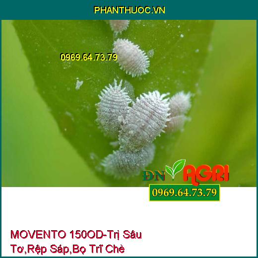 THUỐC TRỪ SÂU MOVENTO 150OD - Trị Sâu Tơ, Rệp Sáp , Bọ Trĩ Chè, Bọ Phấn Trắng