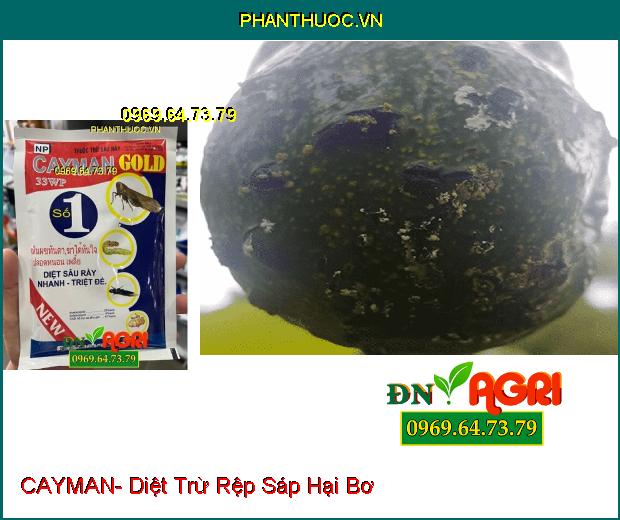 THUỐC TRỪ SÂU RẦY CAYMAN- Diệt Trừ Sâu, Bọ Trĩ, Rệp Sáp, Rầy Nâu Hại Lúa