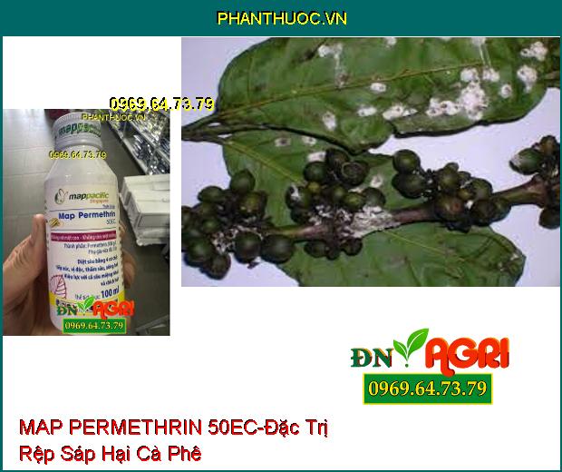 THUỐC TRỪ SÂU MAP PERMETHRIN 50EC- Đặc Trị Sâu Cuốn Lá, Rệp Sáp, Bọ Trĩ, Sâu Đục Quả