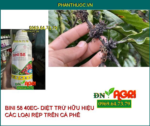 BINI 58 40EC- DIỆT TRỪ HỮU HIỆU CÁC LOẠI RỆP, RỆP MÍA ,RỆP CÀ PHÊ