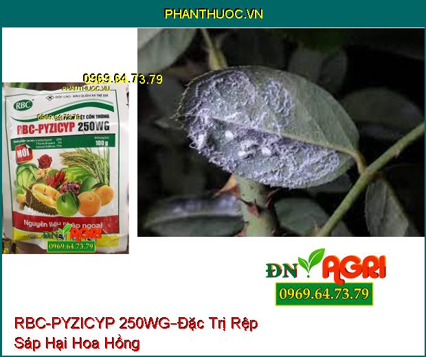 CHẾ PHẨM DIỆT CÔN TRÙNG RBC-PYZICYP 250WG –Đặc trị Các Loại Sâu, Các Loài Hút Chích