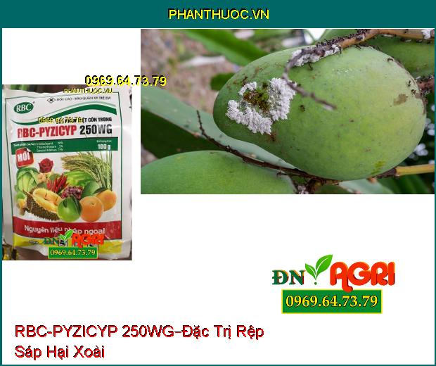 CHẾ PHẨM DIỆT CÔN TRÙNG RBC-PYZICYP 250WG –Đặc trị Các Loại Sâu, Các Loài Hút Chích