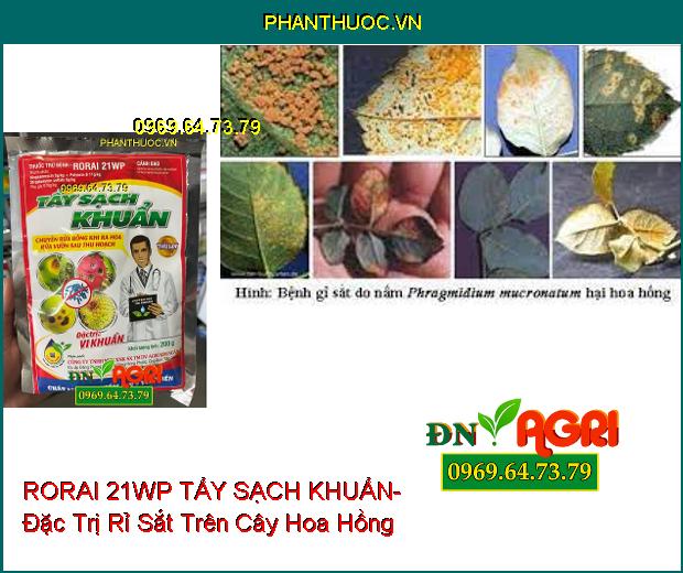 RORAI 21WP TẨY SẠCH KHUẨN- Đặc Trị Vàng Lá, Rỉ Sắt, Thối Trái, Thán Thư,...