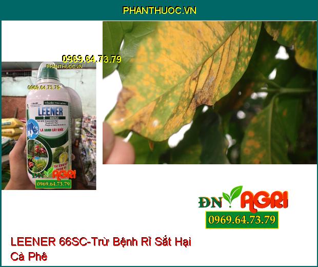 THUỐC TRỪ BỆNH LEENER 66SC –Tác Dụng Kép Sạch Bệnh, Dưỡng Cây, Màu Sáng Đẹp