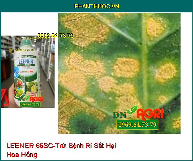 THUỐC TRỪ BỆNH LEENER 66SC – Trừ Bệnh Khô Vằn, Lem Lép, Rỉ Sắt, Đốm Vòng, Phấn Trắng