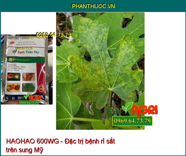 HAOHAO 600WG- Sạch Thán Thư, Phấn Trắng, Đạo Ôn, Sương Mai, Rỉ Sắt