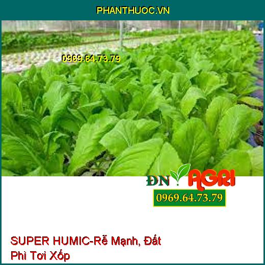 PHÂN BÓN LÁ SINH HỌC SUPER HUMIC-Rễ Mạnh Như Rồng, Đất Phì Tơi Xốp