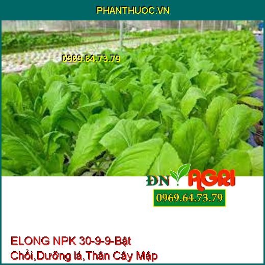 ELONG NPK 30-9-9-Bật Chồi Mạnh, Dưỡng lá, Phát Đọt Nhanh, Thân Cây Mập