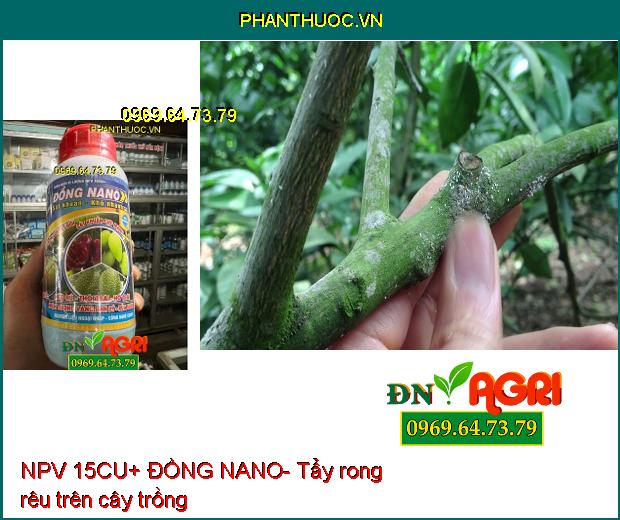 NPV 15CU+ ĐỒNG NANO- Sát Khuẩn Cực Mạnh, Bảo Vệ Cây Trồng Khỏi Héo Rủ