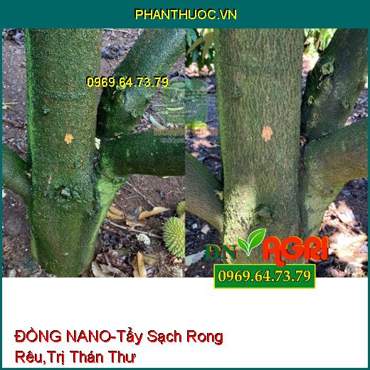 DUNG DỊCH ĐỒNG MAGIE ĐỒNG NANO-Tẩy Sạch Rong Rêu, Trị Thổi Ròng,Thán Thư