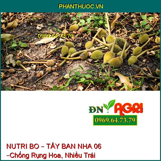 NUTRI BO – TÂY BAN NHA 06 –Chống Rụng Hoa, Trái Non, Mập Bông, Trái Lớn