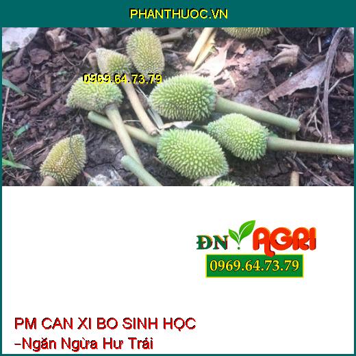 PHÂN BÓN LÁ PM CAN XI BO SINH HỌC –Ngăn Ngừa Hư Trái, Cứng Cây, Hạn Chế Sâu Bệnh