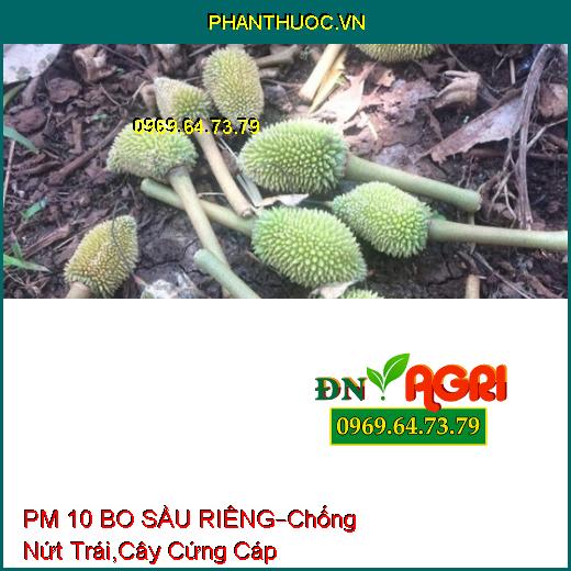 PHÂN BÓN LÁ PM 10 BO SẦU RIÊNG –Chống Nứt Trái, Cây Cứng Cáp, Hạt Chắc Khỏe