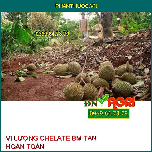 VI LƯỢNG CHELATE BM TAN HOÀN TOÀN-Phục Hồi Cây, Giảm Rụng Lá, Rụng Trái Non