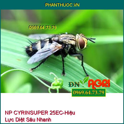 NP CYRINSUPER 25EC- Hiệu Lực Diệt Sâu Nhanh, Ruồi Đục Lá, Bọ Trĩ, Bọ Xít