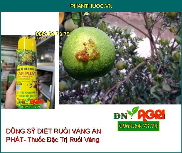 DŨNG SỸ DIỆT RUỒI VÀNG AN PHÁT- Thuốc Đặc Trị Ruồi Vàng