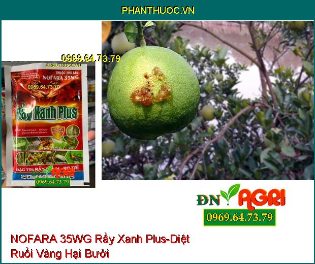 THUỐC TRỪ SÂU NOFARA 35WG Rầy Xanh Plus- Diệt Côn Trùng, Bọ Trĩ Trên Lúa