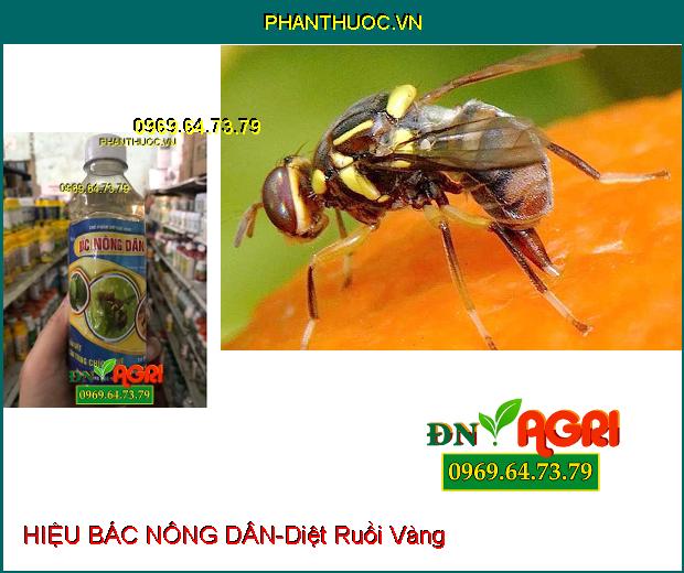 CHẾ PHẨM DIỆT RUỒI VÀNG HIỆU BÁC NÔNG DÂN-Diệt Ruồi Vàng, Các Côn Trùng Khác