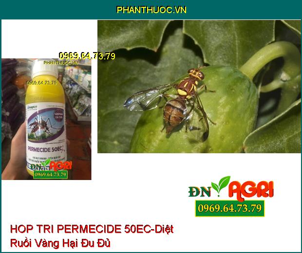 HOP TRI PERMECIDE 50EC – HẠ GỤC NHANH –Diệt Trừ Muỗi Sốt Xuất Huyết , An Toàn