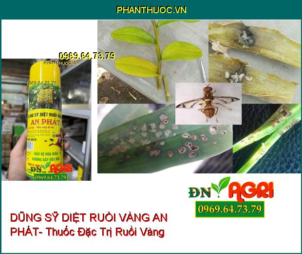 DŨNG SỸ DIỆT RUỒI VÀNG AN PHÁT- Thuốc Đặc Trị Ruồi Vàng