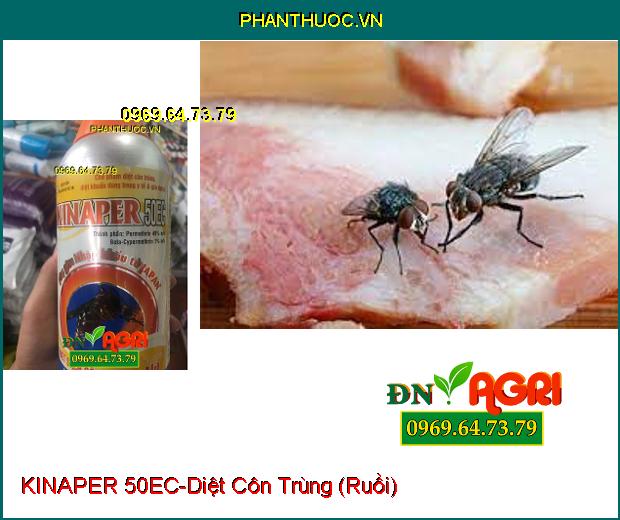 CHẾ PHẨM DIỆT CÔN TRÙNG KINAPER 50EC-Tẩm Rèm, Phun Diệt Côn Trùng Trong Nhà