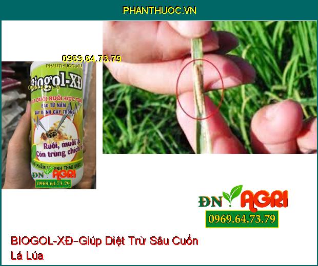 CHẾ PHẨM VI SINH THẢO DƯỢC BIOGOL – XĐ –Xua Đổi Ruồi Đục Trái , Côn Trùng