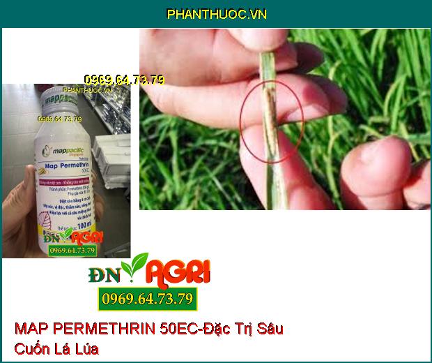 THUỐC TRỪ SÂU MAP PERMETHRIN 50EC- Đặc Trị Sâu Cuốn Lá, Rệp Sáp, Bọ Trĩ, Sâu Đục Quả