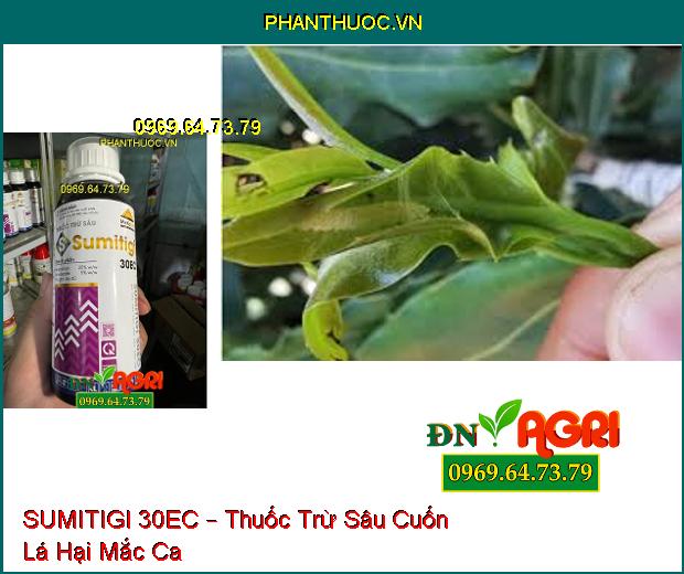 SUMITIGI 30EC – Thuốc Trừ Sâu Phổ Rộng, Sâu Cuốn Lá