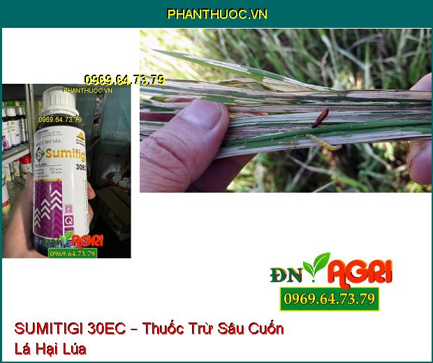 SUMITIGI 30EC – Thuốc Trừ Sâu Phổ Rộng, Sâu Cuốn Lá