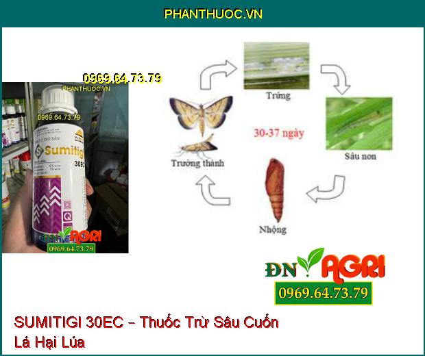 SUMITIGI 30EC – Thuốc Trừ Sâu Phổ Rộng, Sâu Cuốn Lá