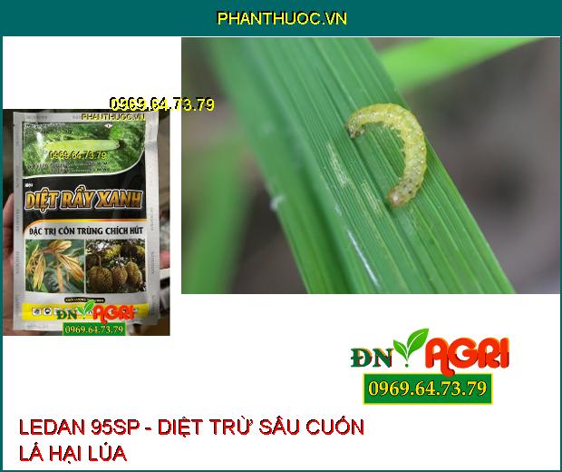 LEDAN 95SP - Diệt Rầy Xanh, Rầy Nâu, Sâu Đục Thân, Côn Trùng Chích Hút