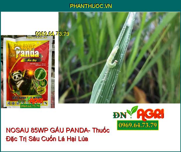 NOSAU 85WP GẤU PANDA- Thuốc Đặc Trị Rầy Xanh Cực Mạnh, Sâu Cuốn Lá