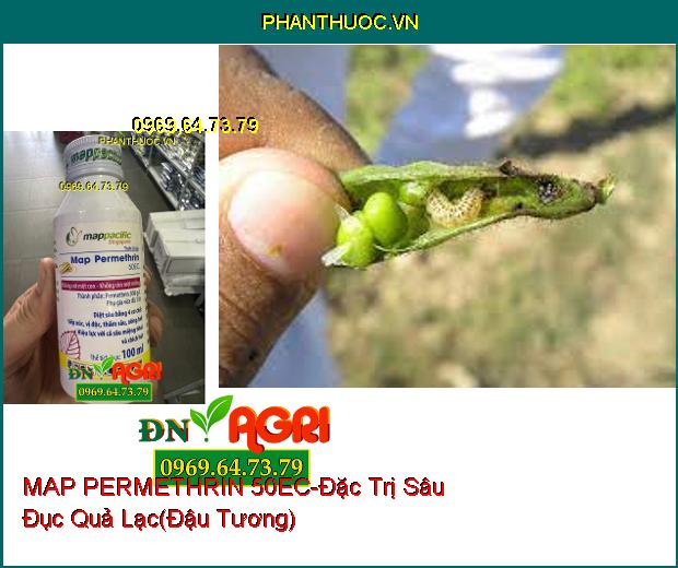 THUỐC TRỪ SÂU MAP PERMETHRIN 50EC- Đặc Trị Sâu Cuốn Lá, Rệp Sáp, Bọ Trĩ, Sâu Đục Quả