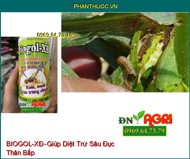 CHẾ PHẨM VI SINH THẢO DƯỢC BIOGOL – XĐ –Xua Đổi Ruồi Đục Trái , Côn Trùng