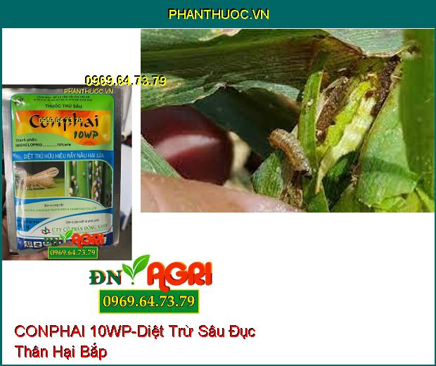 THUỐC TRỪ SÂU CONPHAI 10WP – Diệt Trừ Hữu Hiện Rầy Nâu Hại Lúa