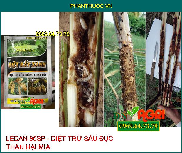 LEDAN 95SP - Diệt Rầy Xanh, Rầy Nâu, Sâu Đục Thân, Côn Trùng Chích Hút